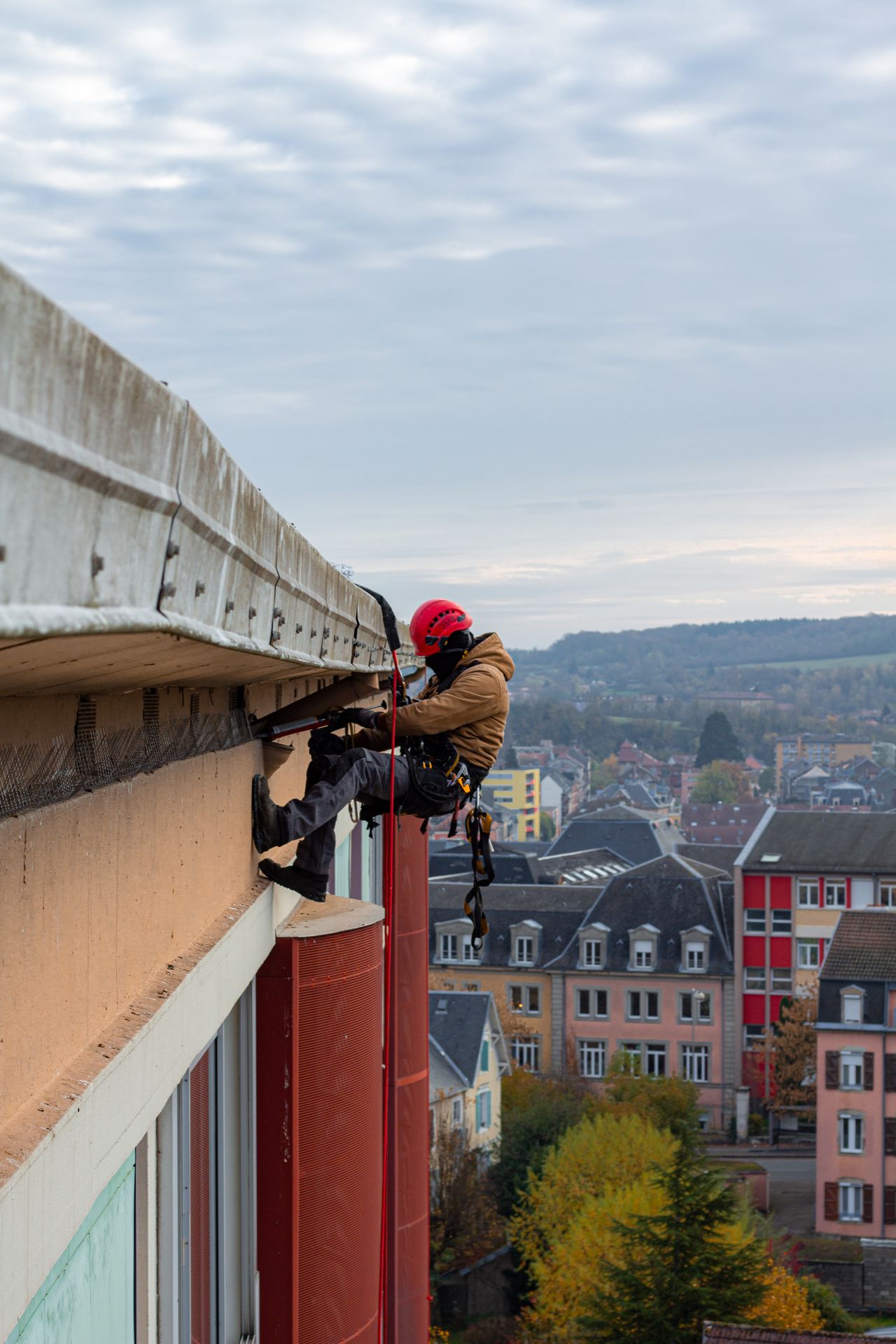 Travaux en hauteur de dépigeonnage. Pigeon Nuisible
